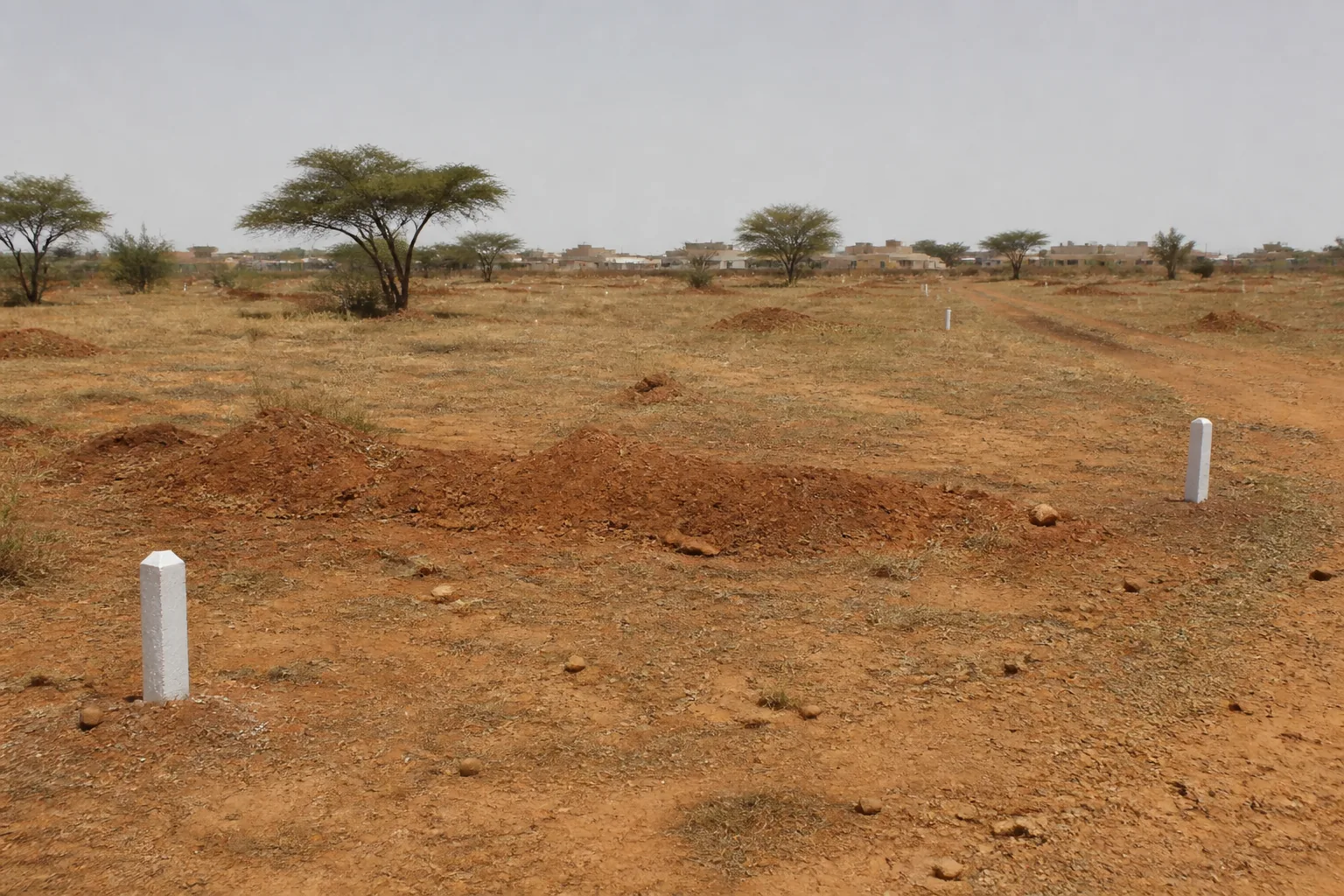 Paysage ouvert près d’un axe routier au Sénégal